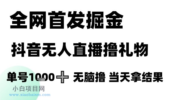 全网首发掘金抖音无人直播撸礼物，单号1k +无脑撸，当天拿结果【揭秘】-小白项目分享网