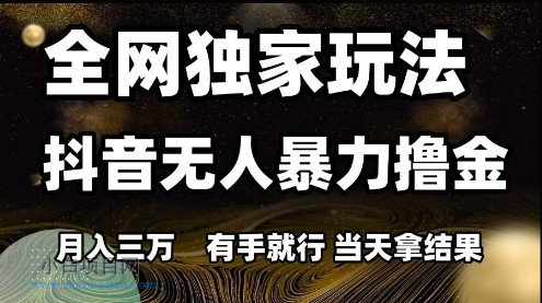 全网独家玩法抖音无人暴力撸金，月入3W，有手就行，当天拿结果【揭秘】-小白项目分享网