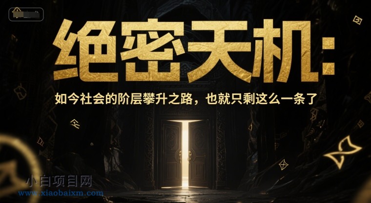 付费文章：绝密天机：如今社会的阶层攀升之路，也就只剩这么一条了-小白项目分享网