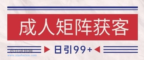 小红书某音橙人赛道引流获客，自热矩阵日引200+【揭秘】-小白项目分享网