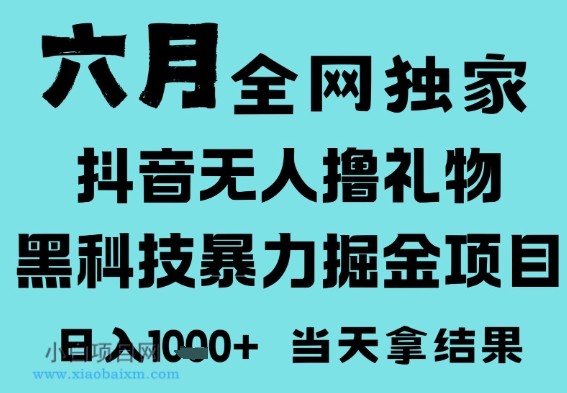 25年6月高爆抖音无人直播最新撸音浪掘金项目，门槛低小白可做，无脑日入1k，可矩阵放大【揭秘】-小白项目分享网
