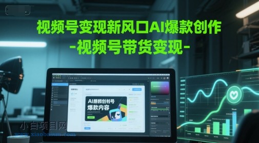 视频号变现新风口AI爆款创作-视频号带货变现-小白项目分享网