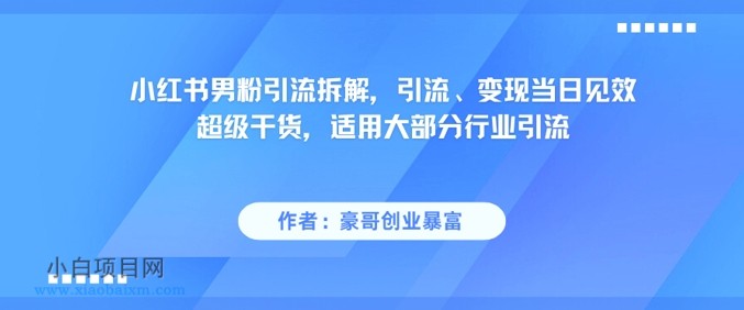 小红书男粉引流拆解，引流、变现当日见效超级干货，适用大部分行业引流-小白项目分享网