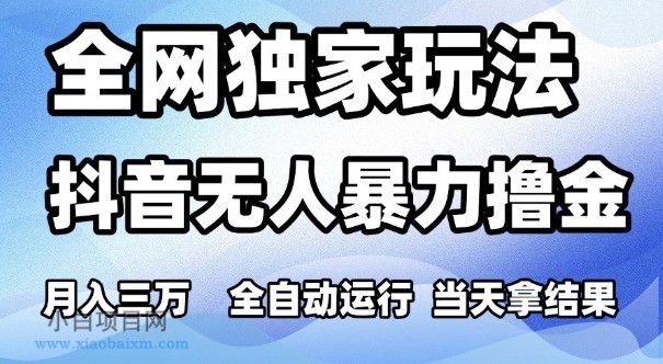 全网独家玩法,抖音无人暴力撸金,月入3W,全自动运行,当天拿结果,可矩阵【揭秘】-小白项目分享网
