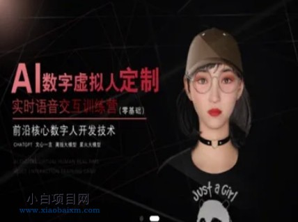 AI数字虚拟人定制，实时语音交互训练营（零基础），前沿核心数字人开发技术-小白项目分享网