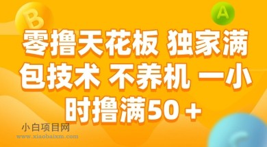 零撸天花板,独家满包技术 不养机 一小时撸满50+【揭秘】-小白项目分享网