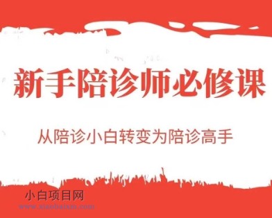 新手陪诊师必修课，从陪诊小白转变为陪诊高手-小白项目分享网