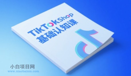 TikTok小店基础认知课，助力学员从 0 到 1 掌握 TikTok 电商运营全链路认知-小白项目分享网