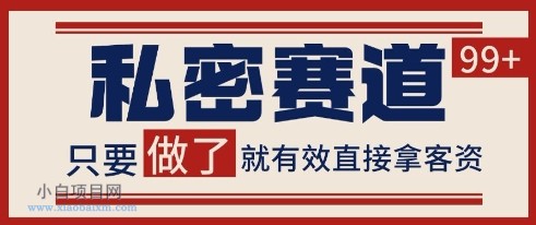 小红书某音私密赛道引流获客 自热矩阵日引200+【揭秘】-小白项目分享网