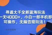 寻道大千全新蓝海玩法，一天4000+，小白一部手机即可操作，无脑变现玩法！-小白项目分享网