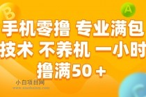 手机零撸 专业满包技术 不养机 一小时撸满50+-小白项目分享网