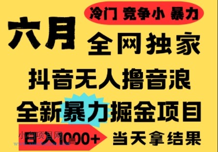 25年6月高爆抖音无人直播最新撸音浪掘金项目，小白可做，无脑日入1k+，门槛低可批量矩阵【揭秘】-小白项目分享网