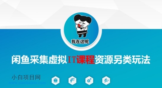 闲鱼采集虚拟IT课程资源另类玩法，干货满满-小白项目分享网