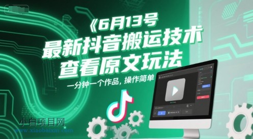 6月13号最新抖音搬运技术，查看原文玩法，一分钟一个作品，操作简单-小白项目分享网