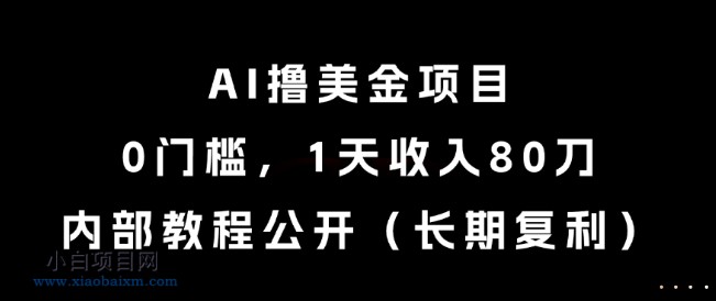 AI撸美金项目，0门槛，1天收入80刀，内部教程公开（长期复利）【揭秘】-小白项目分享网