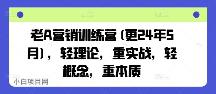 老A营销训练营(更25年6月)，轻理论，重实战，轻概念，重本质-小白项目分享网