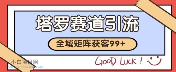 小红书某音塔罗赛道引流获客 自热矩阵日引200+【揭秘】-小白项目分享网