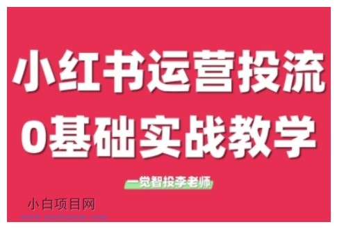 小红书运营投流，小红书广告投放从0到1的实战课，学完即可开始投放（更新）-小白项目分享网