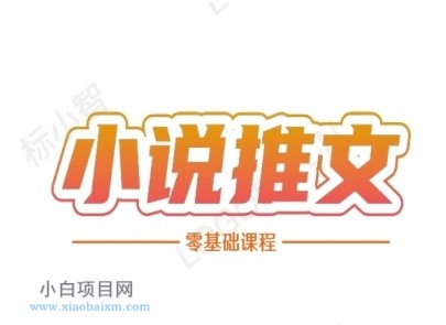 小说推文全流程课程-小说推文零基础教程-小白项目分享网