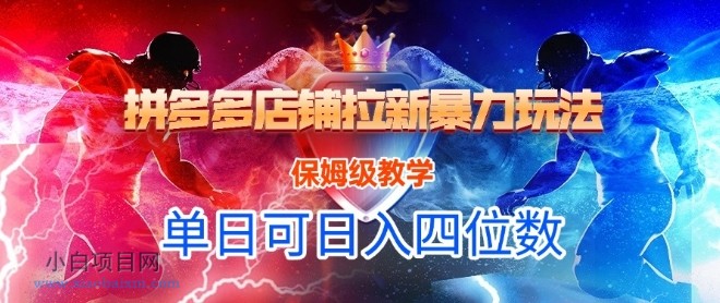 悟空直搜拼多多店铺拉新暴力玩法，保姆级教学，单日可入四位数-小白项目分享网