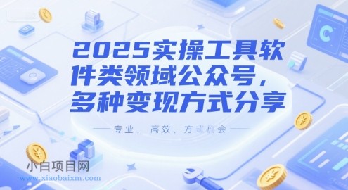 2025实操工具软件类领域公众号，多种变现方式分享-小白项目分享网