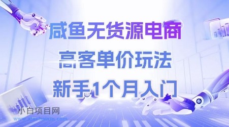咸鱼无货源电商，高客单价玩法，新手1个月入门-小白项目分享网