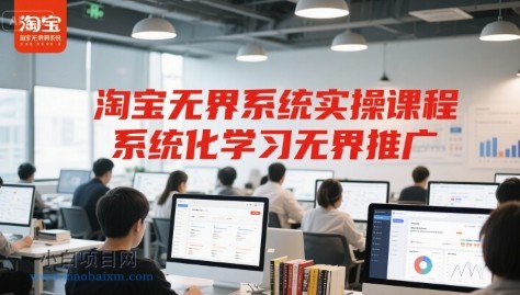 淘宝无界系统实操课程，系统化学习无界推广-小白项目分享网