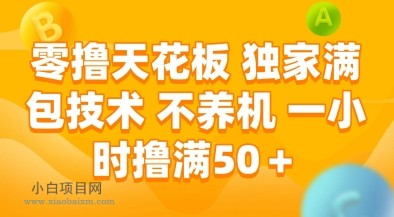零撸天花板，独家满包技术，不用养机，一小时撸满50+，收益稳定【揭秘】-小白项目分享网