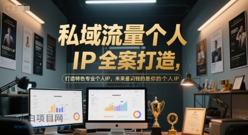 私域流量个人IP全案打造,打造特色专业个人IP,未来最值钱的是你的个人IP