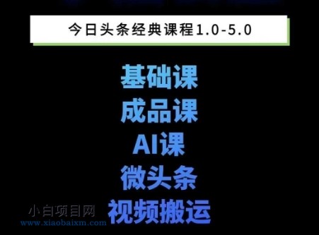 头条图文课1-5期教你头条图文写作、微头条、视频搬运变现，适合新手快速起号玩法-小白项目分享网
