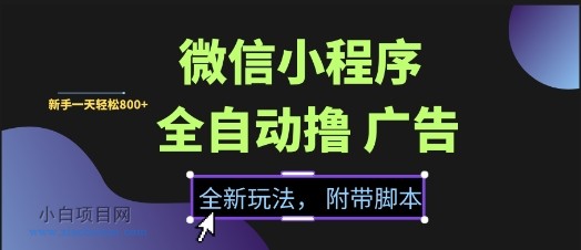 微信小程序全自动撸广告项目，彻底解决没流量的问题，新手一天8张+【揭秘】-小白项目分享网