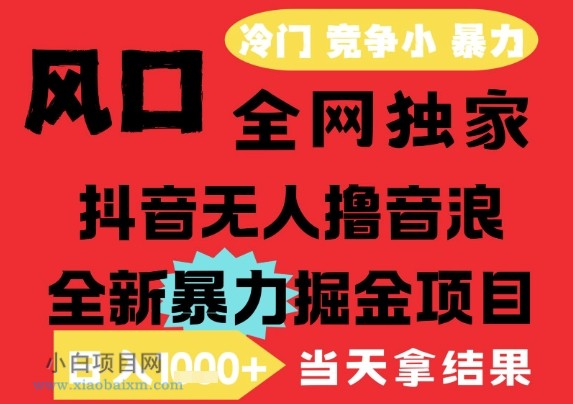 25年6月高爆抖音无人直播最新撸音浪掘金项目，解放双手小白可做，无脑日入1k+，门槛低【揭秘】-小白项目分享网