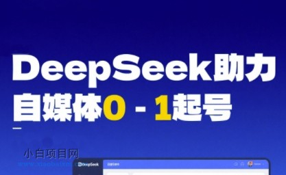DeepSeek赋能自媒体0-1起号，从AI工具实操到变现-小白项目分享网