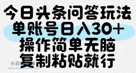 今日头条问答玩法，单账号日入30+，操作简单无脑复制粘贴就行-小白项目分享网