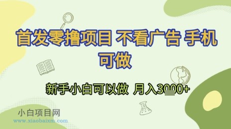 首发零撸项目 不看广告 手机可做 新手小白可以做 月入3k+【揭秘】-小白项目分享网