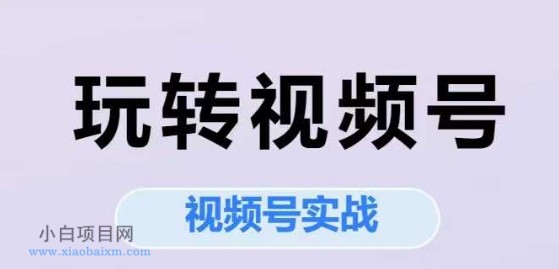 玩转视频号，视频号实战系列课-小白项目分享网