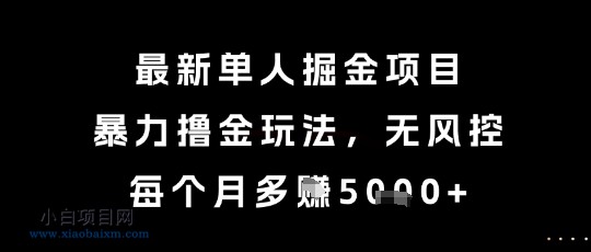 最新单人掘金项目，暴力撸金玩法，无风控，每个月多挣5k+【揭秘】-小白项目分享网