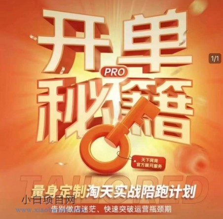 淘宝开单秘籍PRO，量身定制淘天实战陪跑计划，告别做店迷茫、快速突破运营瓶颈期（更新6月）-小白项目分享网