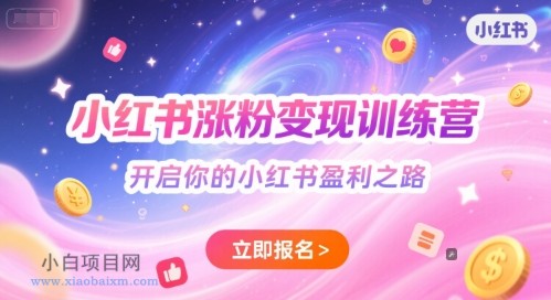 小红书涨粉变现训练营，开启你的小红书盈利之路-小白项目分享网