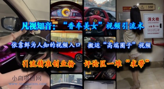 凡视知音：“香车美女”视频引流术，依靠鲜为人知的视频入口，搬运“高端圈子”视频，引流精准创业粉，评论区一堆“求带”-小白项目分享网