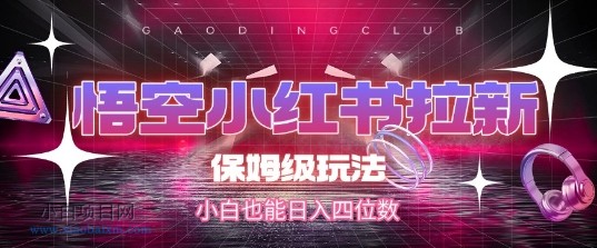 悟空小红书拉新，保姆级玩法，小白也能日入四位数-小白项目分享网