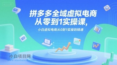 拼多多全域虚拟电商从零到1实操课，小白虚拟电商从0到1实操到精通-小白项目分享网