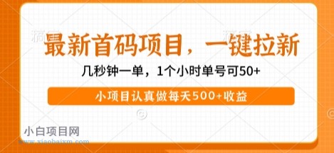 最新首码项目，操作最简单，收益高，一键拉新，1个小时单号可50+，小项目认真做每天5张+收益【揭秘】-小白项目分享网