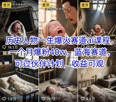 历史人物一生爆火赛道ai课程，一个月爆粉40w，蓝海赛道，可过伙伴计划，收益可观-小白项目分享网