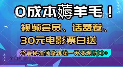 0成本薅羊毛!视频会员、话费卷、30元电影票白送，分享我如何靠转卖一天变现5张+【揭秘】-小白项目分享网