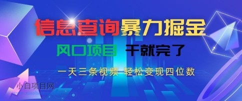 信息查询暴力掘金，一天三条视频，轻松变现四位数，风口项目干就完了【揭秘】-小白项目分享网