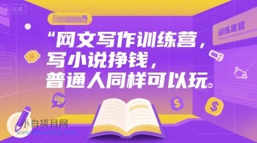 网文写作训练营，写小说挣钱，普通人同样可以玩-小白项目分享网