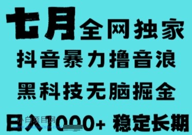 7月最新风口抖音无人直播撸音浪，长期稳定，非短期，全自动运行，低门槛无脑，日入1k+【揭秘】-小白项目分享网