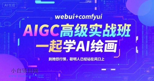 AIGC高级实战班，webui+comfyui，一起学AI绘画，别抱怨行情，聪明人已经站在风口上-小白项目分享网