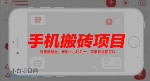 手机搬砖项目，有手就能做，亲测一小时几十，苹果安卓都可以-小白项目分享网